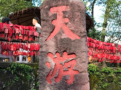 踏青山聚同心，必源環(huán)保武夷山團(tuán)建之旅圓滿收官！